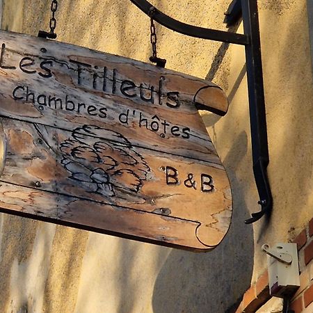 Les Tilleuls Neung-sur-Beuvron Exteriör bild
